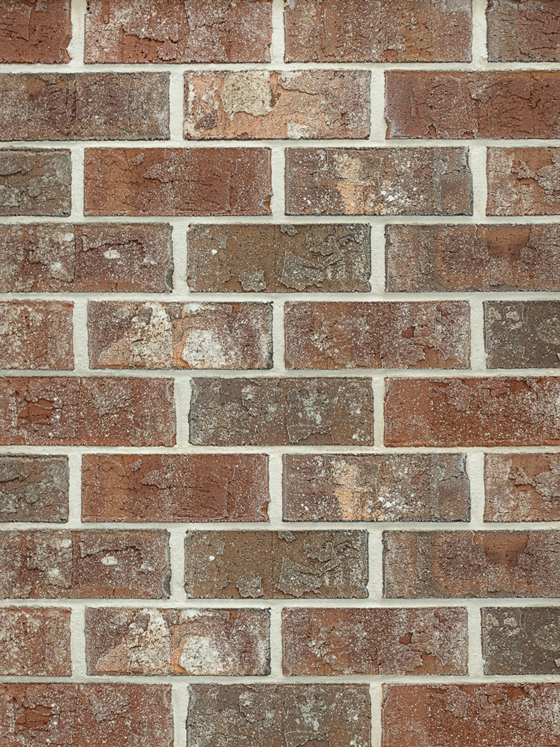 Main Swatch Image