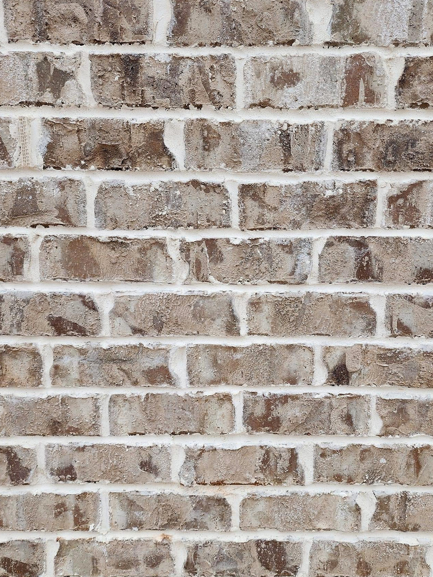 Main Swatch Image