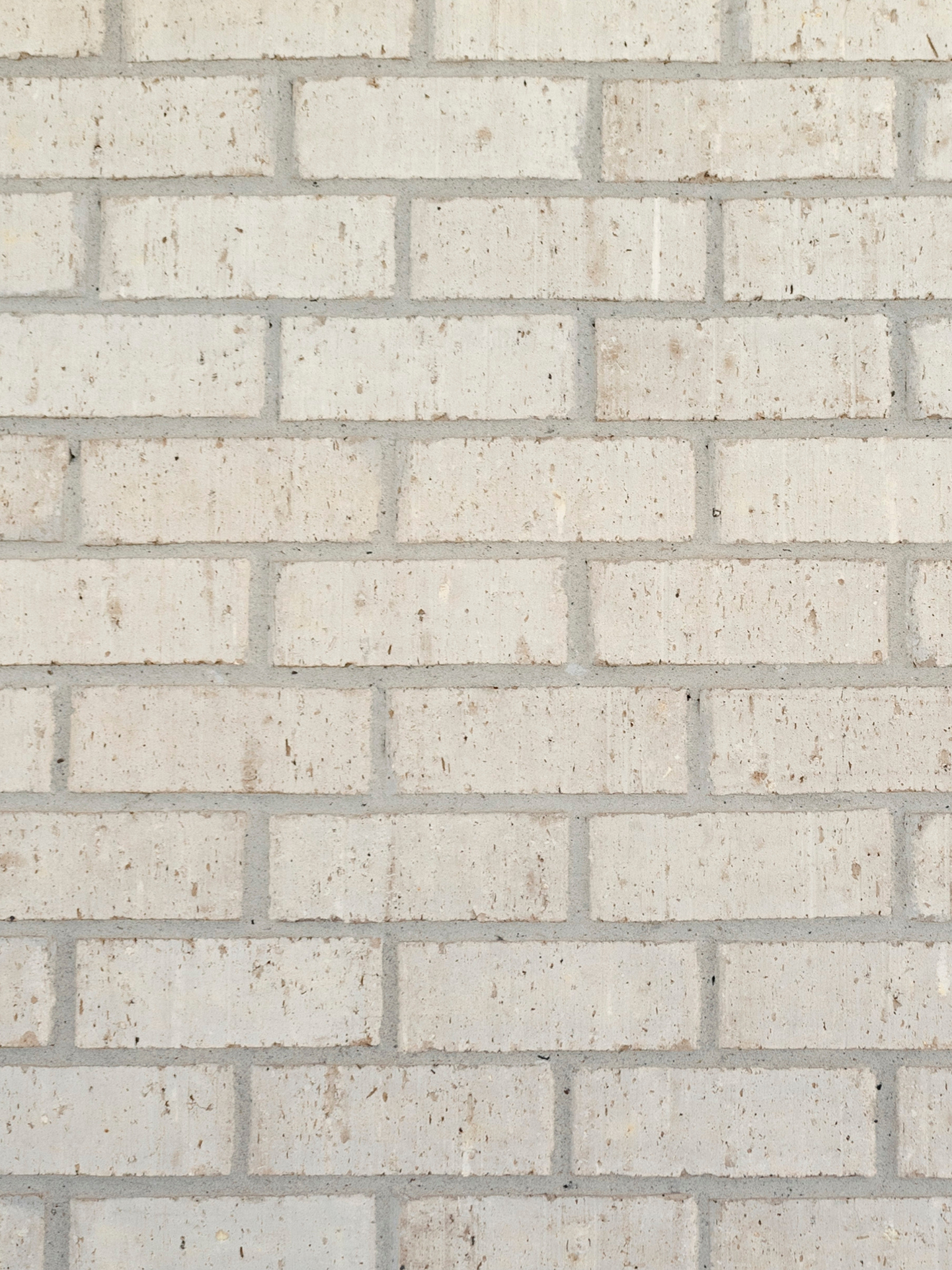 Main Swatch Image