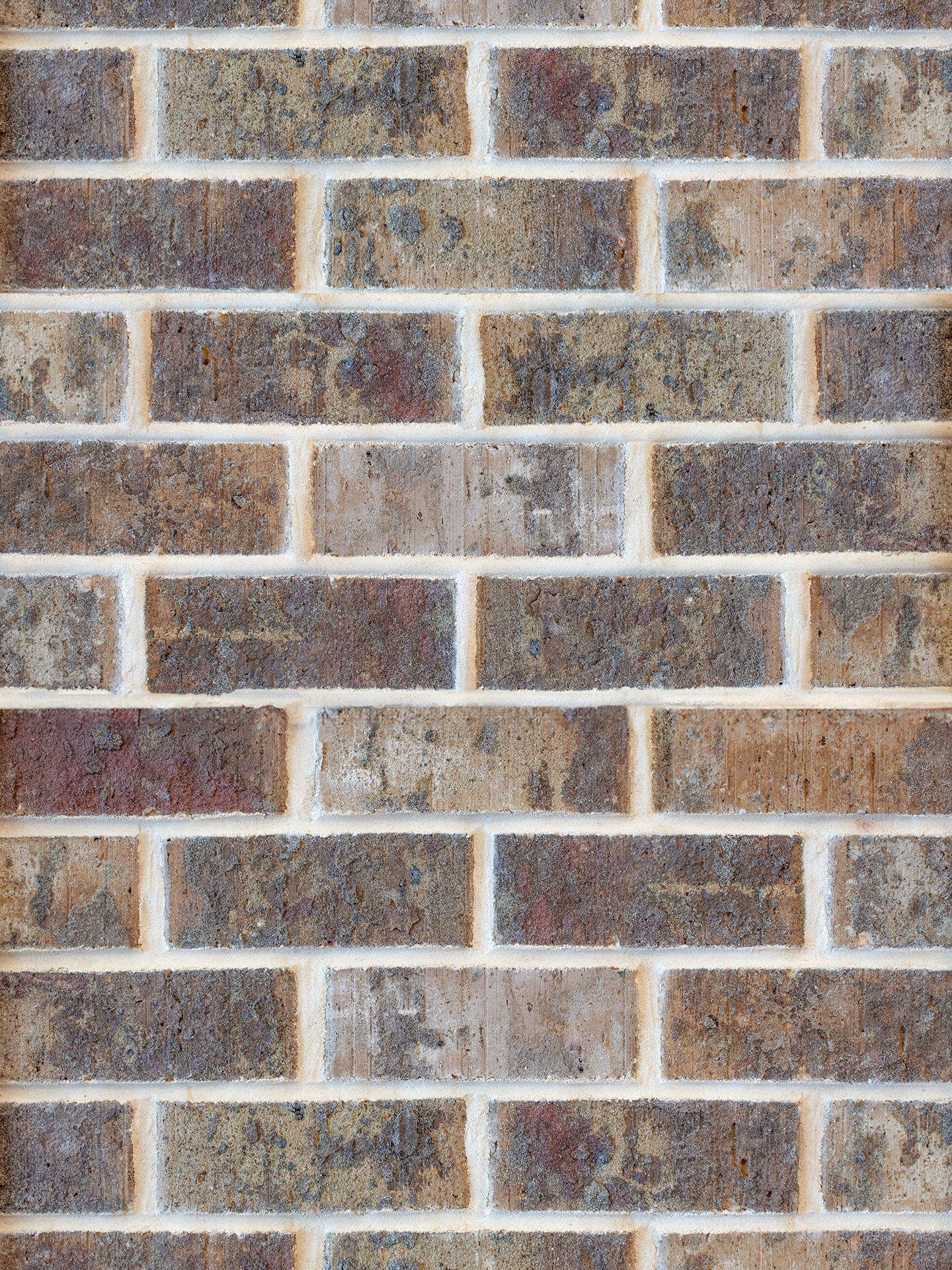Main Swatch Image