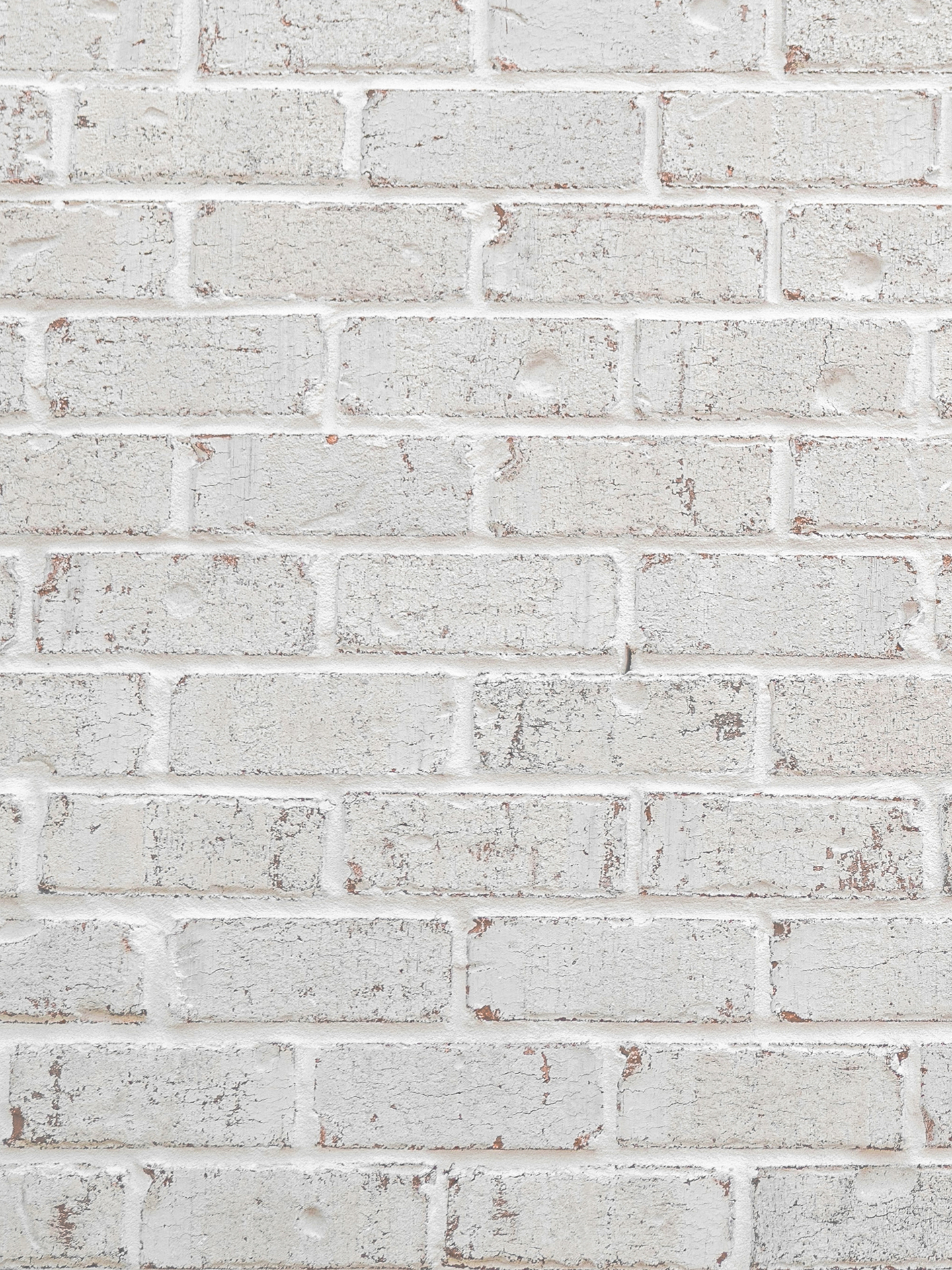Main Swatch Image